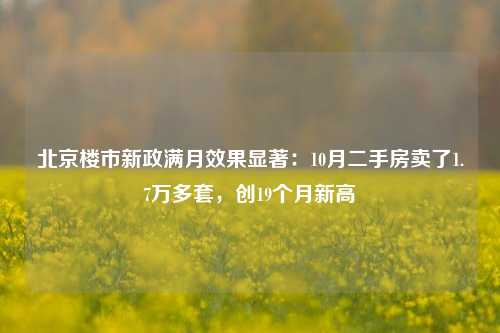 北京楼市新政满月效果显著：10月二手房卖了1.7万多套，创19个月新高