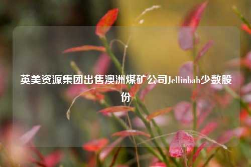 英美资源集团出售澳洲煤矿公司Jellinbah少数股份