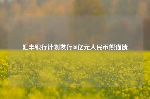 汇丰银行计划发行30亿元人民币熊猫债