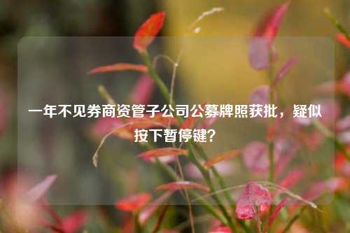 一年不见券商资管子公司公募牌照获批，疑似按下暂停键？