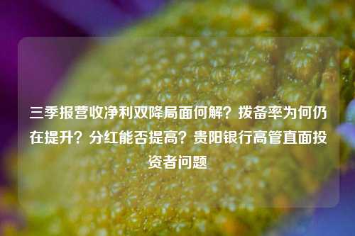 三季报营收净利双降局面何解？拨备率为何仍在提升？分红能否提高？贵阳银行高管直面投资者问题