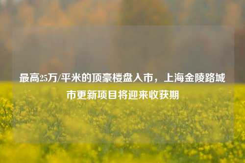 最高25万/平米的顶豪楼盘入市，上海金陵路城市更新项目将迎来收获期