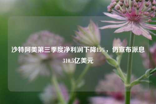 沙特阿美第三季度净利润下降15%，仍宣布派息310.5亿美元