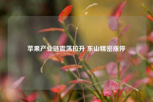 苹果产业链震荡拉升 东山精密涨停