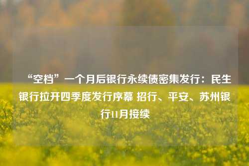 “空档”一个月后银行永续债密集发行：民生银行拉开四季度发行序幕 招行、平安、苏州银行11月接续