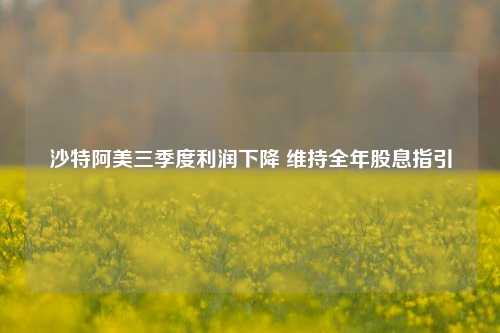 沙特阿美三季度利润下降 维持全年股息指引