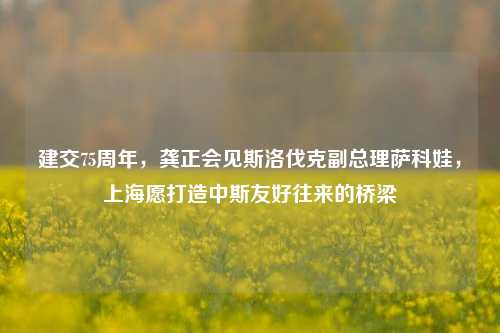 建交75周年，龚正会见斯洛伐克副总理萨科娃，上海愿打造中斯友好往来的桥梁