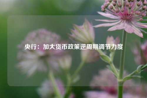 央行：加大货币政策逆周期调节力度