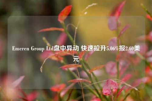 Emeren Group Ltd盘中异动 快速拉升5.06%报2.60美元