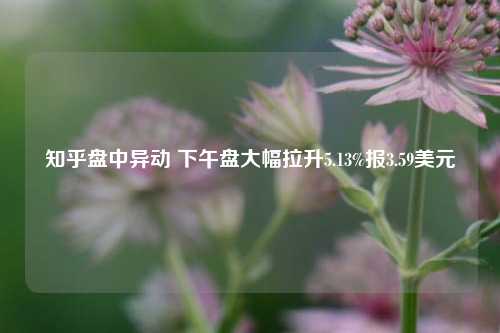 知乎盘中异动 下午盘大幅拉升5.13%报3.59美元