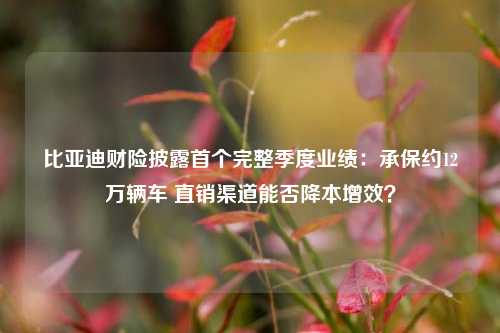 比亚迪财险披露首个完整季度业绩：承保约12万辆车 直销渠道能否降本增效？