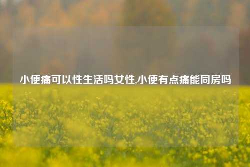 小便痛可以性生活吗女性,小便有点痛能同房吗