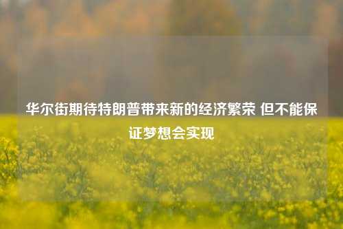 华尔街期待特朗普带来新的经济繁荣 但不能保证梦想会实现