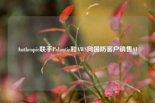 Anthropic联手Palantir和AWS向国防客户销售AI