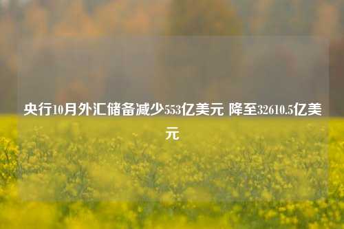 央行10月外汇储备减少553亿美元 降至32610.5亿美元