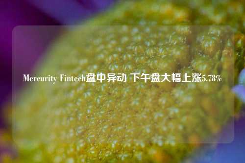 Mercurity Fintech盘中异动 下午盘大幅上涨5.78%