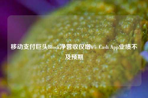 移动支付巨头Block净营收仅增6% Cash App业绩不及预期