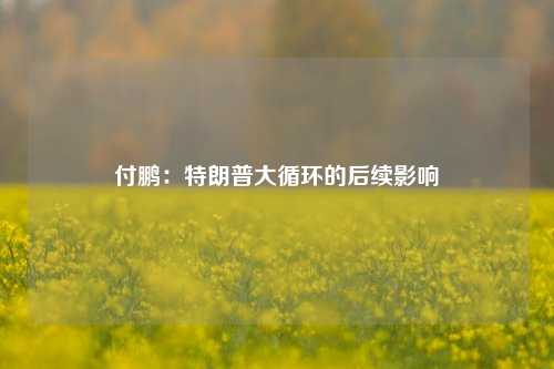 付鹏：特朗普大循环的后续影响