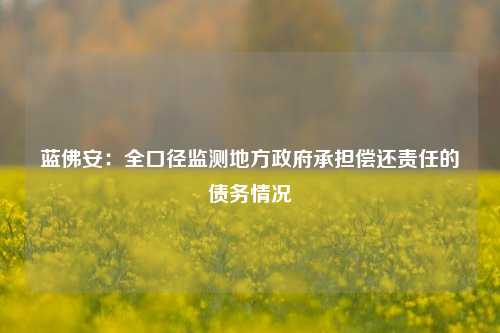 蓝佛安：全口径监测地方政府承担偿还责任的债务情况