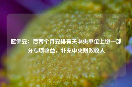 蓝佛安：后两个月安排有关中央单位上缴一部分专项收益，补充中央财政收入