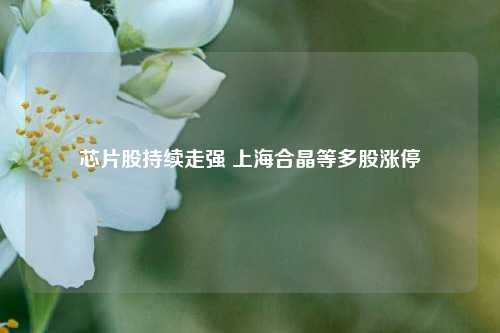 芯片股持续走强 上海合晶等多股涨停