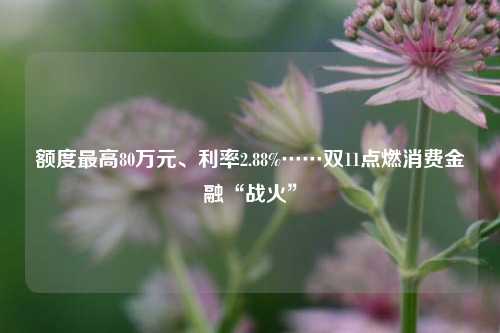 额度最高80万元、利率2.88%……双11点燃消费金融“战火”