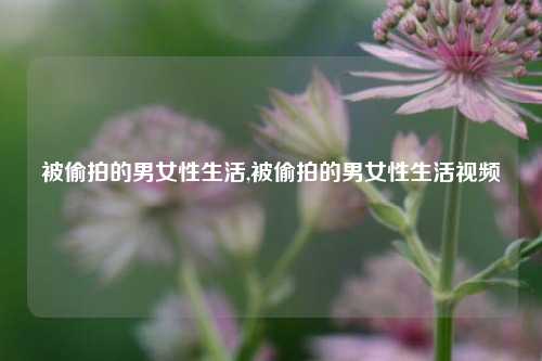 被偷拍的男女性生活,被偷拍的男女性生活视频