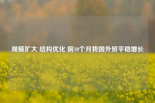 规模扩大 结构优化 前10个月我国外贸平稳增长