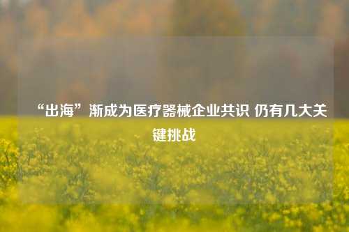 “出海”渐成为医疗器械企业共识 仍有几大关键挑战