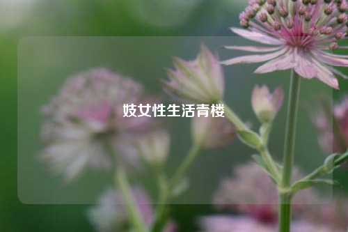 半程客梦 第19页