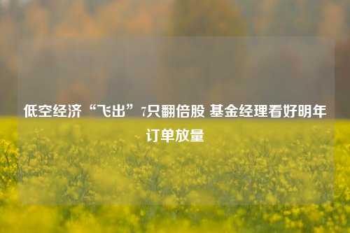 低空经济“飞出”7只翻倍股 基金经理看好明年订单放量