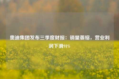 奥迪集团发布三季度财报：销量萎缩，营业利润下滑91%