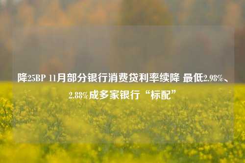 降25BP 11月部分银行消费贷利率续降 最低2.98%、2.88%成多家银行“标配”