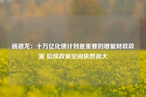 杨德龙：十万亿化债计划是重要的增量财政政策 后续政策空间依然很大