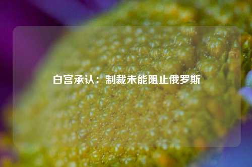 白宫承认：制裁未能阻止俄罗斯