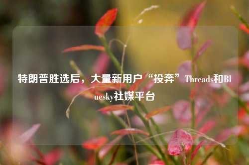 特朗普胜选后，大量新用户“投奔”Threads和Bluesky社媒平台