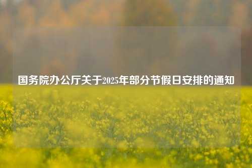 国务院办公厅关于2025年部分节假日安排的通知