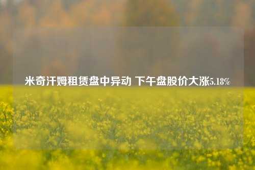 米奇汗姆租赁盘中异动 下午盘股价大涨5.18%