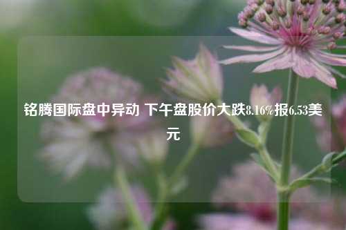 铭腾国际盘中异动 下午盘股价大跌8.16%报6.53美元