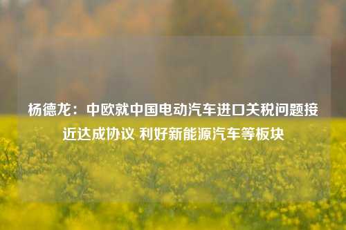 杨德龙：中欧就中国电动汽车进口关税问题接近达成协议 利好新能源汽车等板块