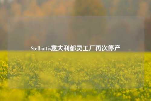 Stellantis意大利都灵工厂再次停产