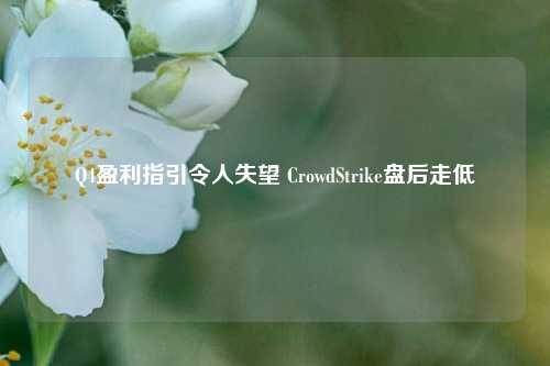 Q4盈利指引令人失望 CrowdStrike盘后走低