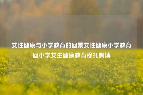 女性健康与小学教育的图景女性健康小学教育图小学女生健康教育穆托姆博