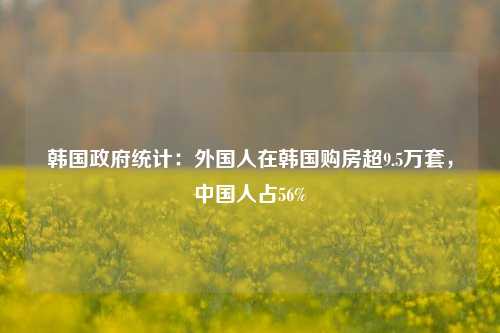 韩国政府统计：外国人在韩国购房超9.5万套，中国人占56%