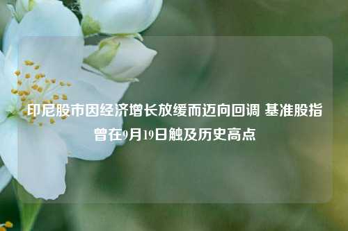 印尼股市因经济增长放缓而迈向回调 基准股指曾在9月19日触及历史高点