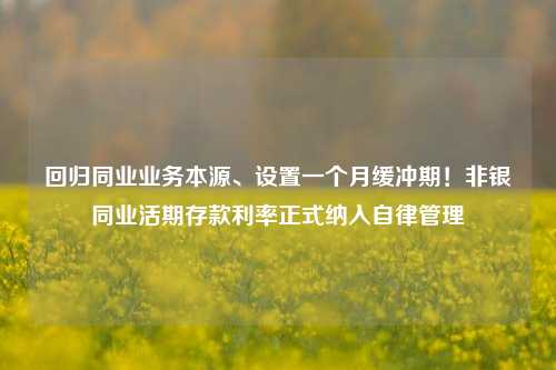 回归同业业务本源、设置一个月缓冲期！非银同业活期存款利率正式纳入自律管理