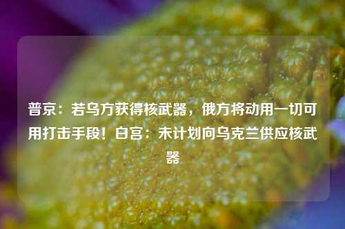 普京：若乌方获得核武器，俄方将动用一切可用打击手段！白宫：未计划向乌克兰供应核武器