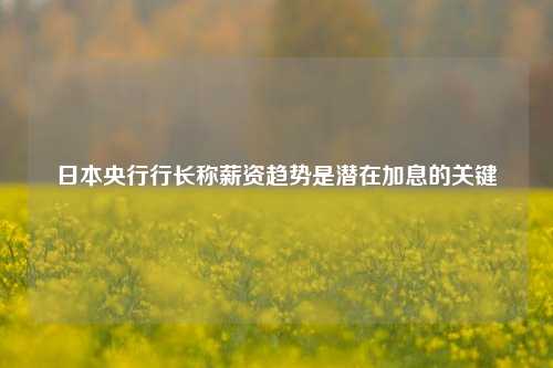 日本央行行长称薪资趋势是潜在加息的关键