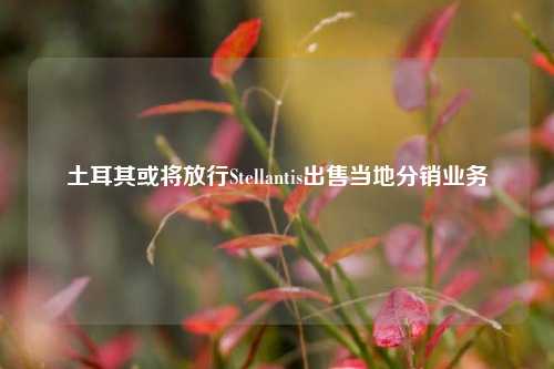 土耳其或将放行Stellantis出售当地分销业务