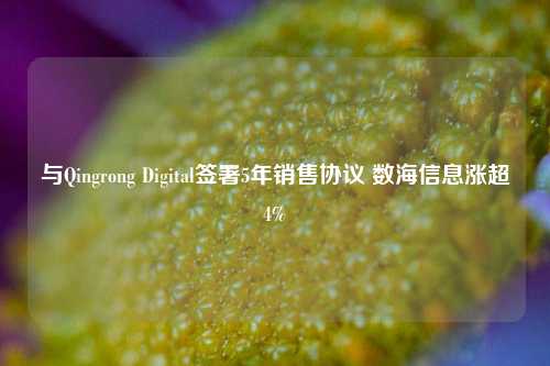 与Qingrong Digital签署5年销售协议 数海信息涨超4%